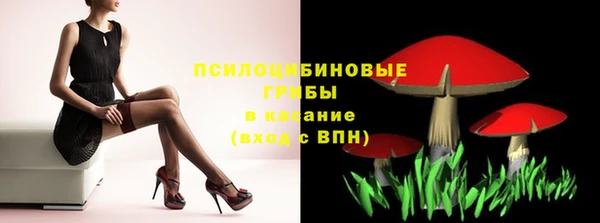 синтетический гашиш Белокуриха
