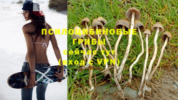 гашишное масло Белоозёрский